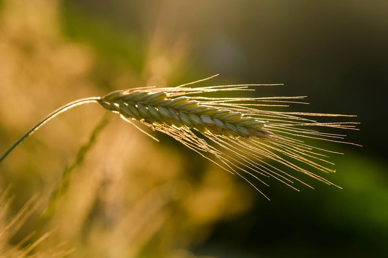 Interest Cultivation